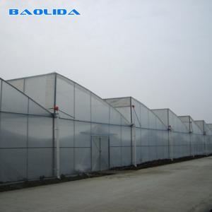 China Vegetable Polyethylene Plastic Sheeting Greenhouse Galvanized Steel Frame on sale