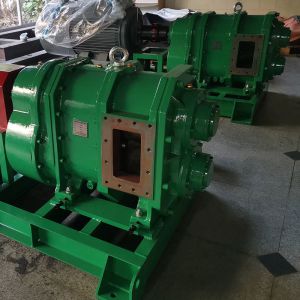 Buy cheap NBR EPDM Rubber Rotary Lobe Pump Wear Resistant Multi Function from wholesalers