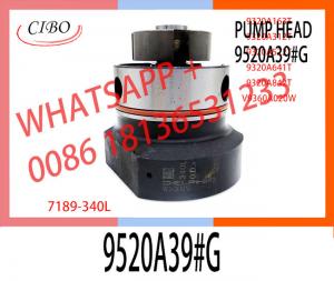 China High Quality Diesel Fuel Injection Pump DPA Head Rotor 7189-340L For 9520A39#G on sale