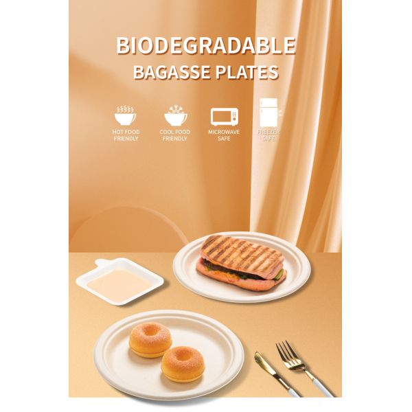 10 Inch Pulp Plate Sugarcane Bagasse Tableware