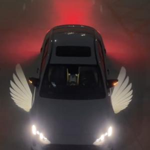  White Angel Wing 12V Universal Car LED Rearview Mirror Door Welcome Light Manufactures