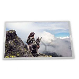  N080ICE-GB0 Rev.A1 8inch TFT LCD Display Modules supplier lcd panel Rectangular screen supplier lcd panel Manufactures
