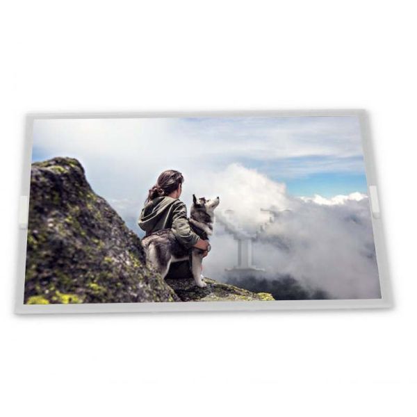 N080ICE-GB0 Rev.A1 8inch TFT LCD Display Modules supplier lcd panel Rectangular