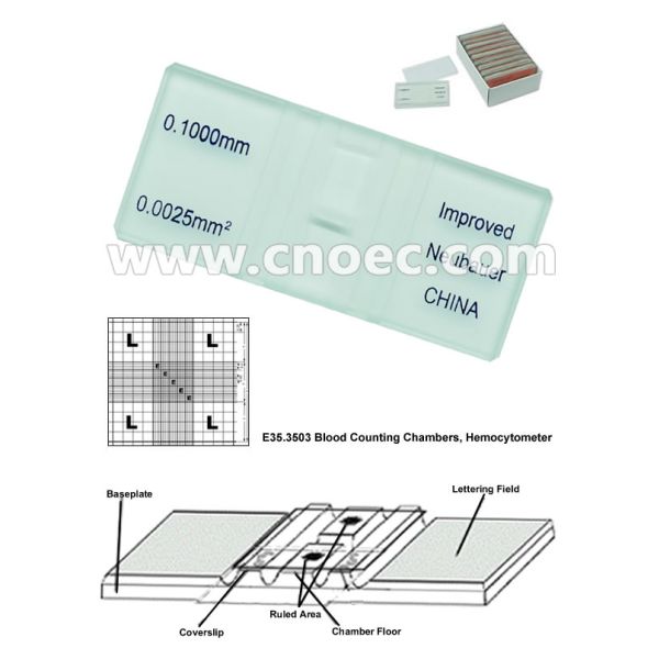 Hemocytometer Microscope Accessories E35.3503 , Blood Counting Chambers