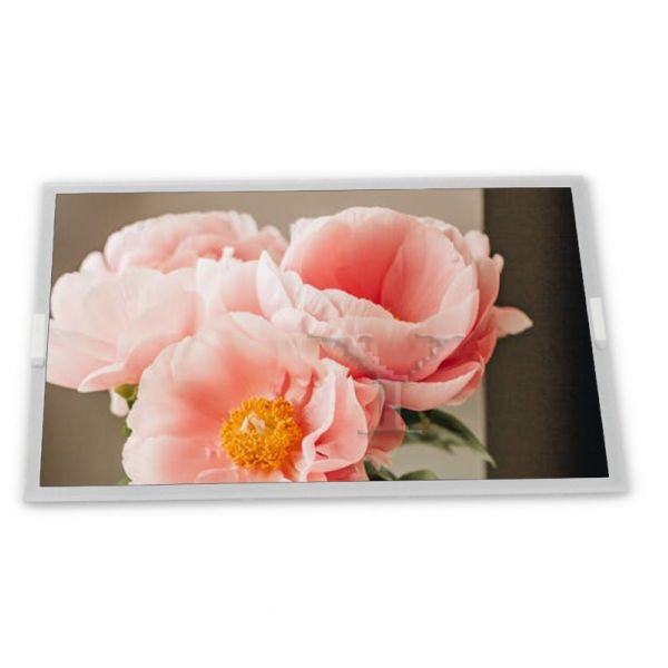 Quality LH550WX1-SH02 5.5" LCD Display Modules TFT new high quality touch screen panel for sale