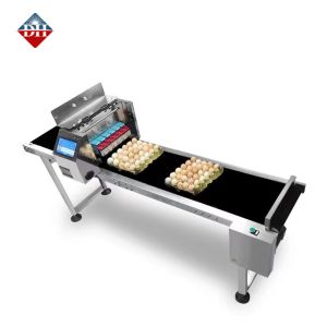 Six Nozzle Automatic Egg Spray Coding Machine Printing