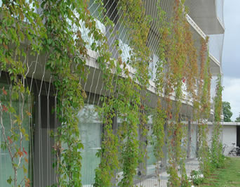 Stainless Steel Cable Wire Mesh