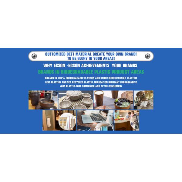 Electronic Custom Plastic Injection Mold Mirror Polish Grs Certificate
