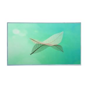 23.8'' LG LM238WF1-SLK1 FHD 1920 X 1080 LCD TFT Panel For Computer Or Touch