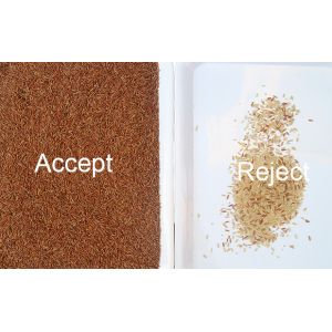 High Precision 2 Chutes Rice Sorting Machine With CCD Sensor Optical