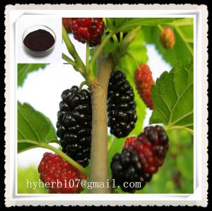  Mulberry Extract Powder Anthocyanidins Manufactures