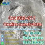 China Creatine monohydrate  CAS 6020-87-7 Best quality and price  Large stock for sale