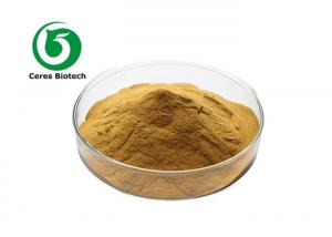  10/1 20/1 Cistanche Deserticola Extract Cistanche Tubulosa Extract Powder Manufactures
