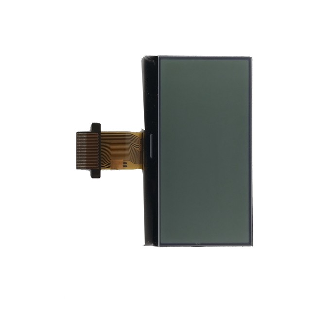  Positive FSTN 16064 Graphic Mono Lcd with White backlight Customized Manufactures