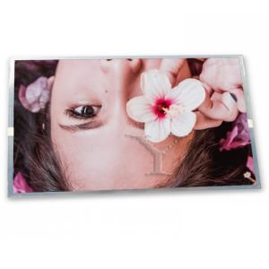 WLED LCD Display Module 640*480 ODM LM64P83L Brand New and Original LCD Modules