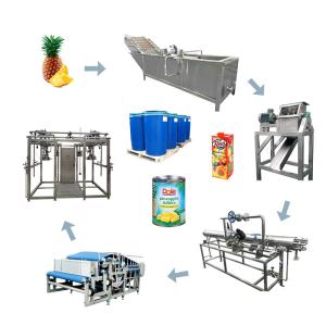 Pineapple Processing Line with Diesel Backup Power Supply Multiple Use and Automatic Disinfection Control Manufactures