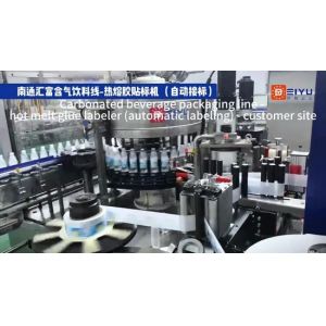 Linear Hot Melt Glue Labeling Machine with Self-Labeling and Self-Testing for