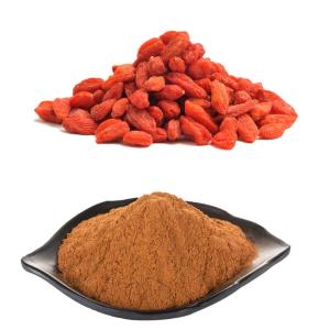  Standardized Wolf Goji berry Fruit Extract Powder with 50% Polysaccharides Manufactures