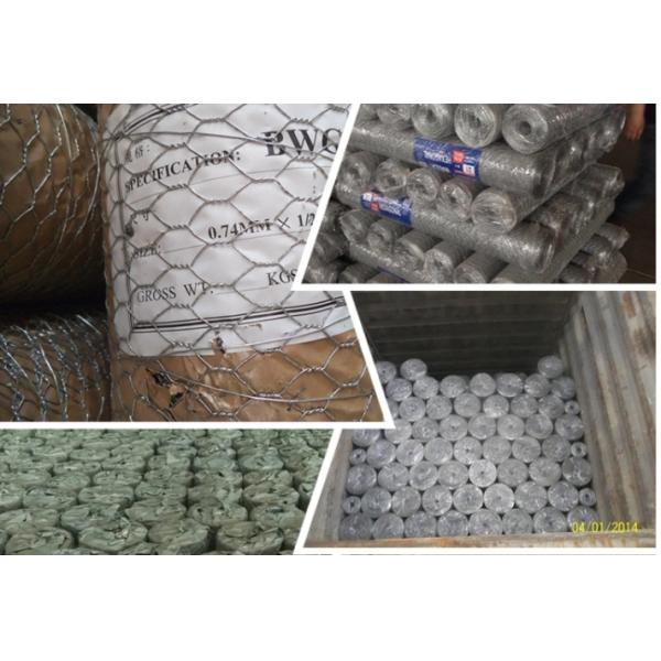 Galvanized Weave Mesh 0.3mm Hexagonal Chicken Hex Wire Mesh Nettting