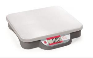  Veterinary Weighing Bench Platform Scales Industrial Weight Bench 280 Mm X 316 Mm Manufactures