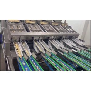 8-Lane Intelligent Cashew Grading Machine with AI Sorting and Custom Design