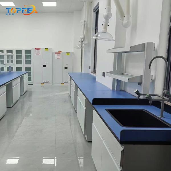 Quality Customizable Lab Wall Bench with Easy Installation and Testing Function Length*W750*H850mm for sale