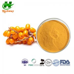  Sea Buckthorn Fruit Extract Flavones/Polysaccharide Concentrated Juice Powder 90106-68-6 Manufactures