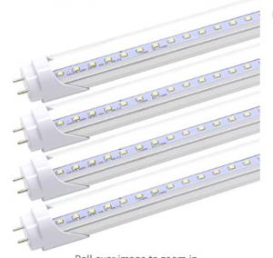  8W 2ft T8 Led Fluorescent Tube 1120 Lm 6500K Cool White Ballast Bypass G13 Base Manufactures