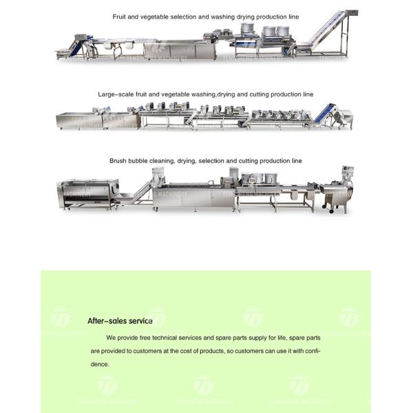 Stainless Steel Fruit And Vegetable Processing Line Potato Picking Hair Roller Bubble Washing Machine