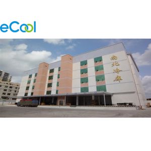 Large Scale Custom Cold Storage Built In Already Existed Warehouse With Electric