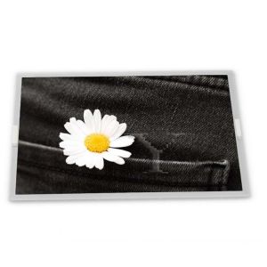 LQ080Y5DZ05 8inch TFT LCD Display Modules Reliable Quality Service Rectangular