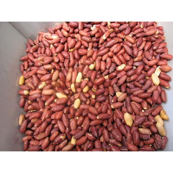 Advanced Split Peanut Blanching Machine Nut Processing Equipment 800-1000kg/h