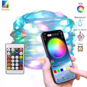 Wireless RGB LED String Light Mobile Phone App Control For Christmas