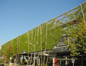 Stainless Steel Cable Wire Mesh