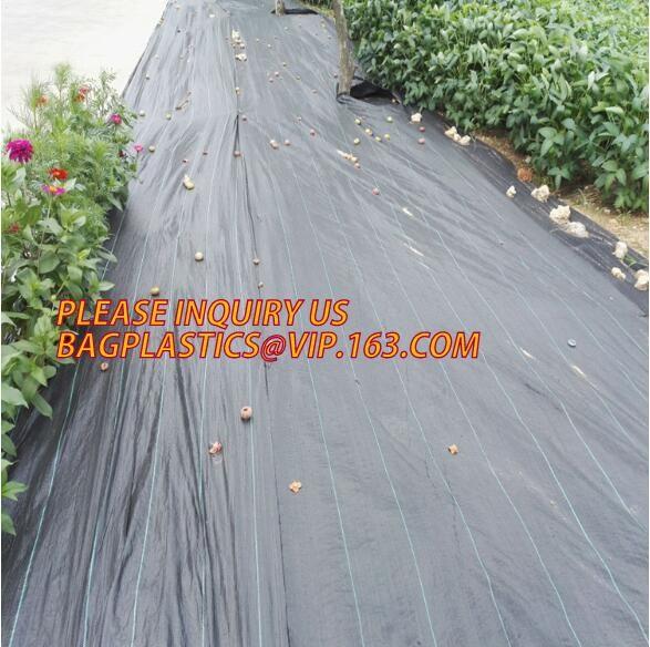 Garden grow bag potato grow bag murphy bag PE fabric,40 / 50 / 100 / 200/300gallon durable heavy duty potato grow bag