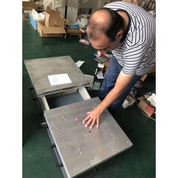 Horizontal and Vertical Vibration Tester/ Vibration Testing Table/ Low Frequency Vibration Tester Vibration Test