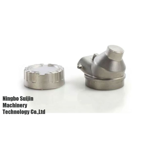 SS316L BEC Valve Casting Parts