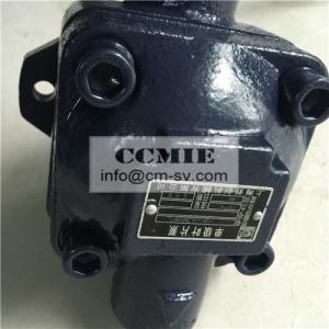  Standard Size Road Roller Spare Parts Vane Pump FCC/SGS/ISO9001 Manufactures