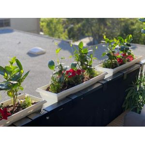 Window Boxes Planter Shelving with Adjustable Size Triangle Bracket Structure