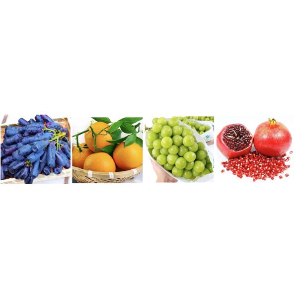 10% Trace Elements Amino Acid Chelated