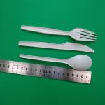 disposable biodegradable & 100% compostable PLA spoon/knife/fork,160mm&165mm