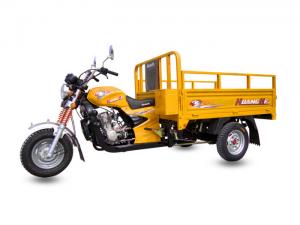 China Gas Or Petrol Fuel Chinese 3 Wheel Motorcycle 150cc Heavy Load Power on sale