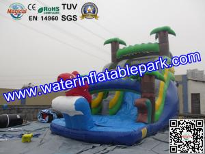  Bounce House Charming Inflatable Slide , Kids Inflatable Water Slides Pool Manufactures