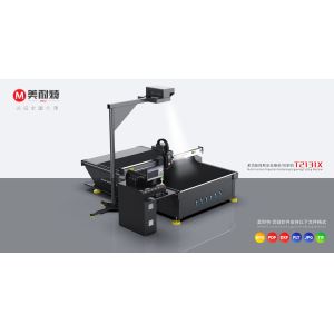 Customized Request Advanced CNC Router Engraving Machine with Universal Router