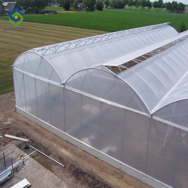 12m Polycarbonate Greenhouse Hydroponic Growing Systems