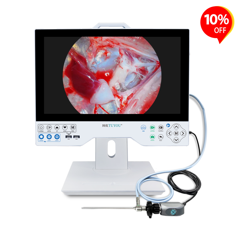 15.6 Display FHD All-in-One Medical Endoscope Camera System with Multi-Output Interfaces for Laparoscopic/ENT/Urological Exams