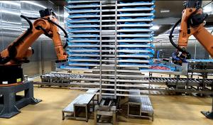  Food Manufacturing Automation Kr60-3 Robot Palletizing And Handling Manufactures