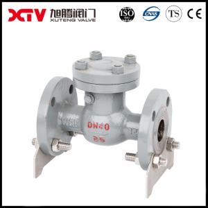  Metal Seal Stainless Steel 304/316L Flanged Swing Check Valve for Pump System Model Manufactures