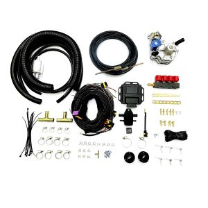 Four Cylinder Car Petrol To LPG Conversion Kit For Sequential Injection System