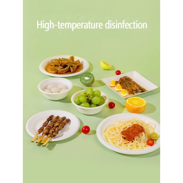 Eco-friendly Pulp Burger Box Clamshell Tableware Set Bagasse Takeaway Box Biodegradable Food Packing Container